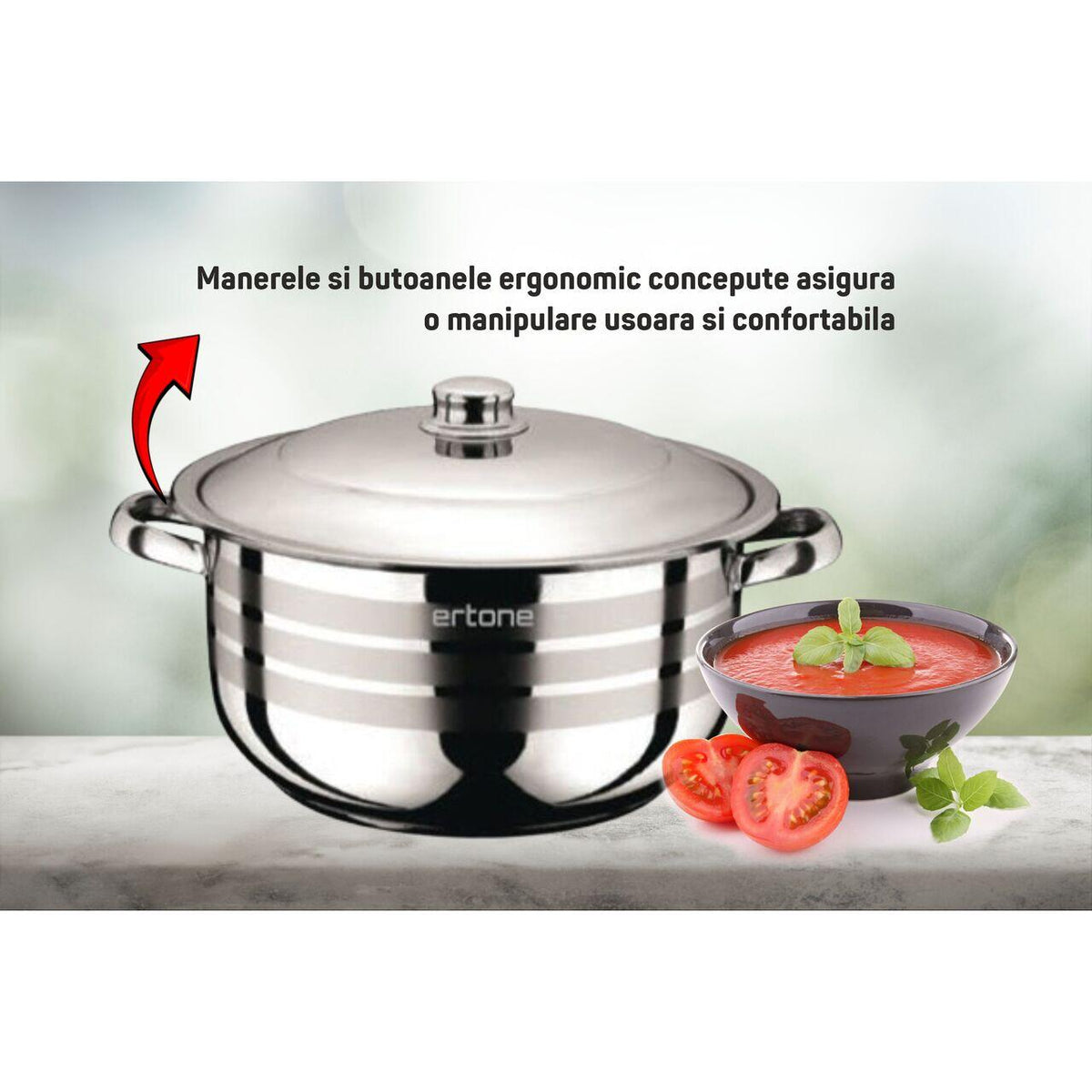 Oala inox cu capac metalic ERTONE MN-534, 24 cm, 6.3 L