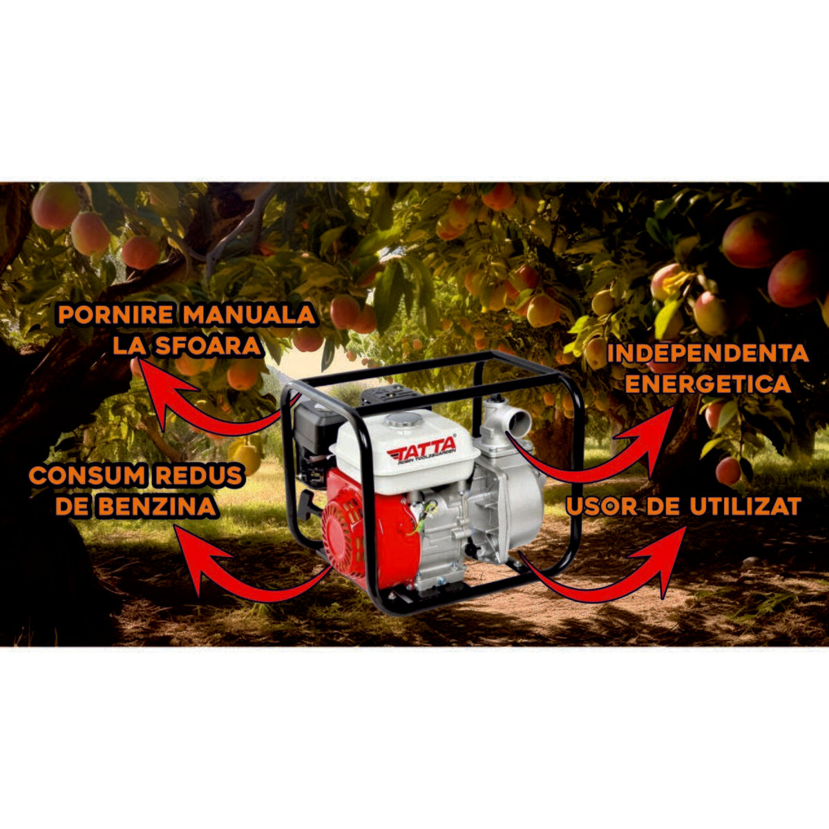 Motopompa apa curata Tatta TT-PA306, 6.5 CP, 26 m³/h debit apa, 2" prindere furtun, 26 m inaltime refulare, 6 m adancime absorbtie, 4 l, benzina, Greutate 22,5kg